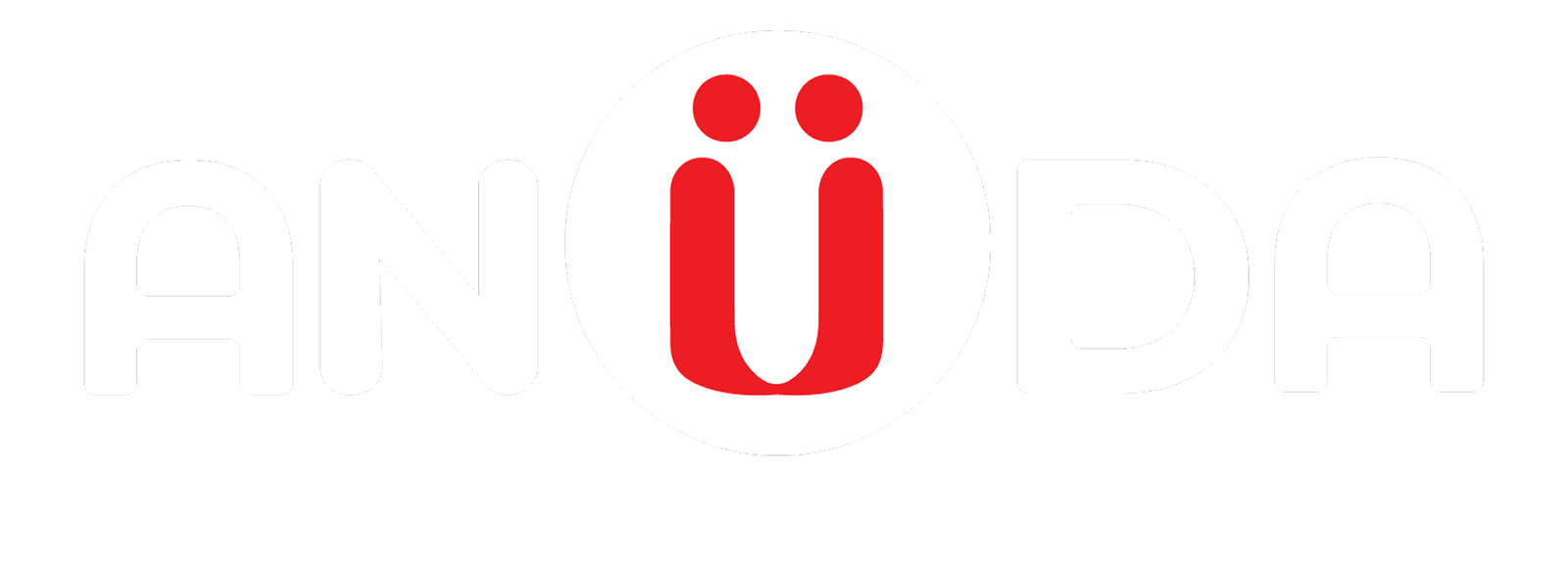 Anuda IT Solutions